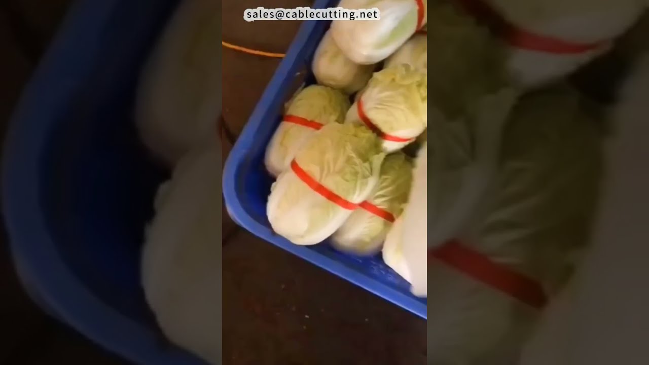 Mesin Pengikat untuk Mi, Kubis, Sarung Tangan - Peralatan Perkhidmatan Makanan #kilang #mesin #diy
