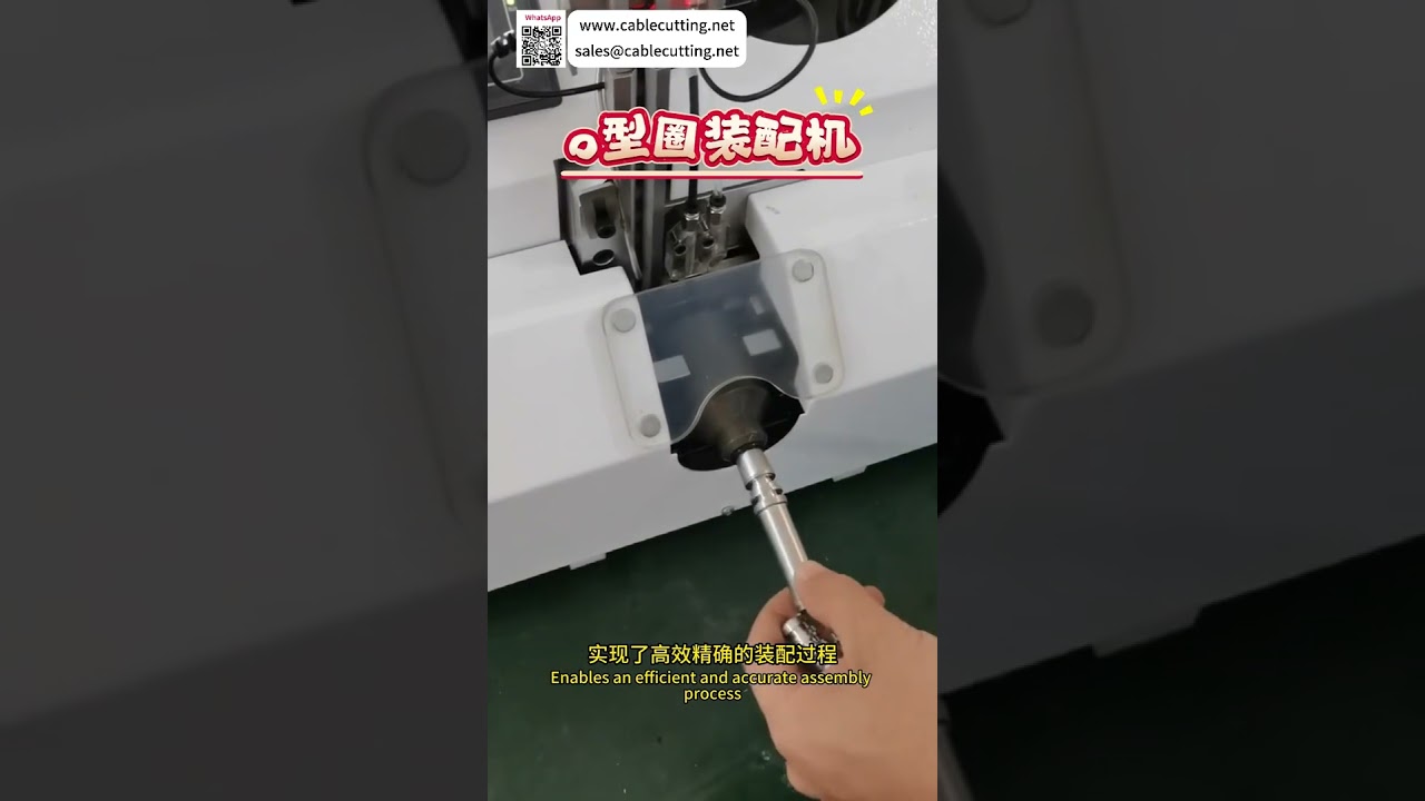 Sistem Peralatan Pemasangan Automatik yang Boleh Dipercayai - Mesin Pengeluaran Ketepatan Tinggi Tersuai dari Kilang - Shorts