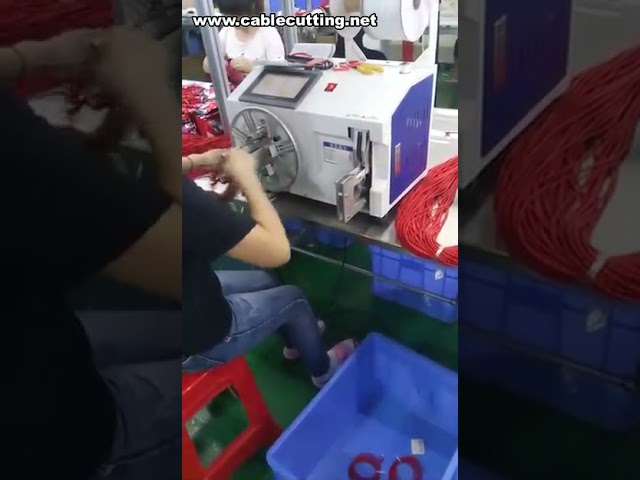 Mesin Penggulung Wayar Automatik & Pengikat Loop Wayar – Tingkatkan Kecekapan Pembungkusan Industri